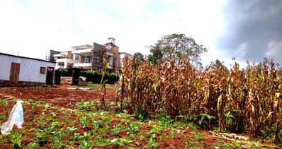 Half Acre Garden Plot with Parking - Tigoni