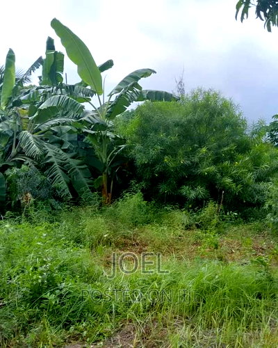 Malindi 45 Acres Ready Title Deed - Image 2