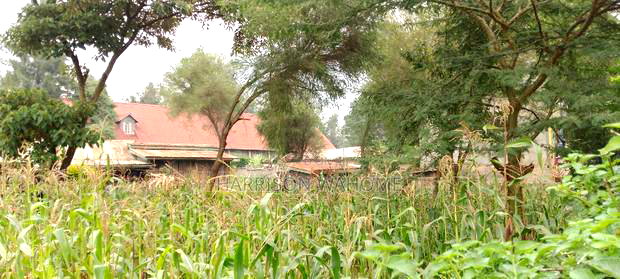 Quarter Acre Plot For Sale In Ngong Kibiko.