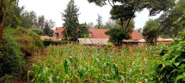 Quarter Acre Plot For Sale In Ngong Kibiko.