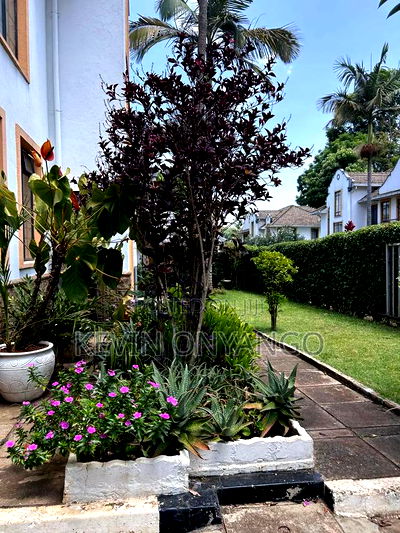 5bdrm Townhouse / Terrace in Lavington for rent - Image 5