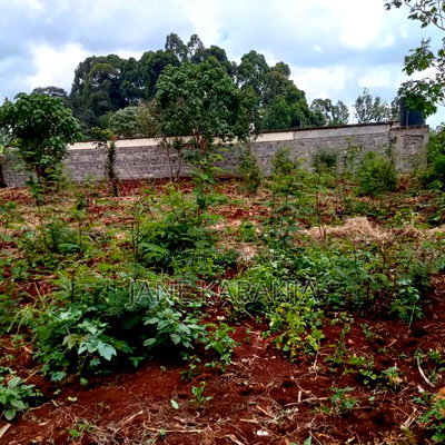 Prime Plot 50by 100 for Sale Gachie Kiambu - Image 1