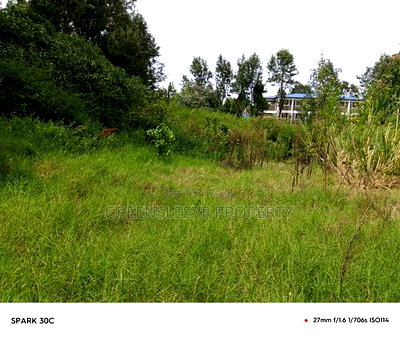1 Acre for Sale - Image 6