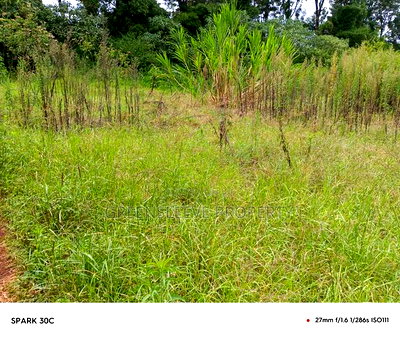 1 Acre for Sale - Image 5