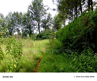 1 Acre for Sale - Image 8