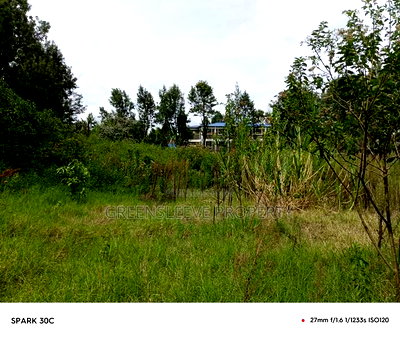1 Acre for Sale - Image 7