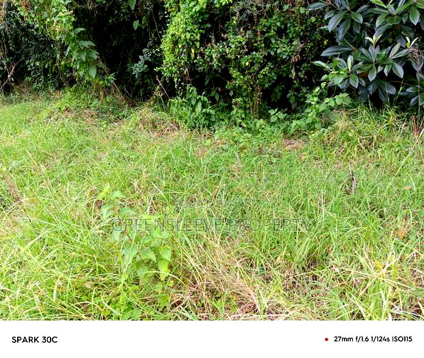 1 Acre for Sale