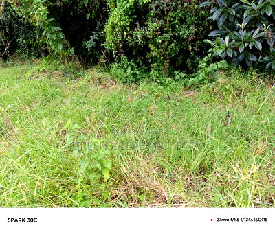 1 Acre for Sale - Image 3