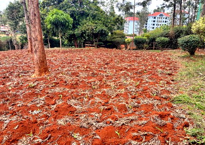 3/4 Acre Garden Plot with Parking - Thindigua