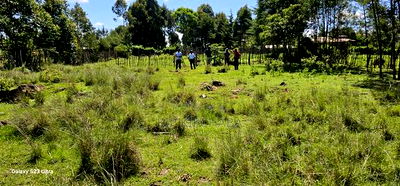 4bdrm Bungalow in Chepkanga, Kimumu for sale - Image 3