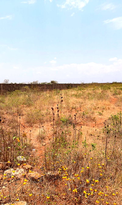 Half Acre Warehouse with Garden in Thika