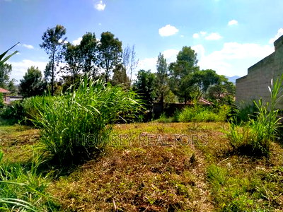 Commercial Eighth Acre Plot in Ongata Rongai, Ole Sakuda Rd - Image 3