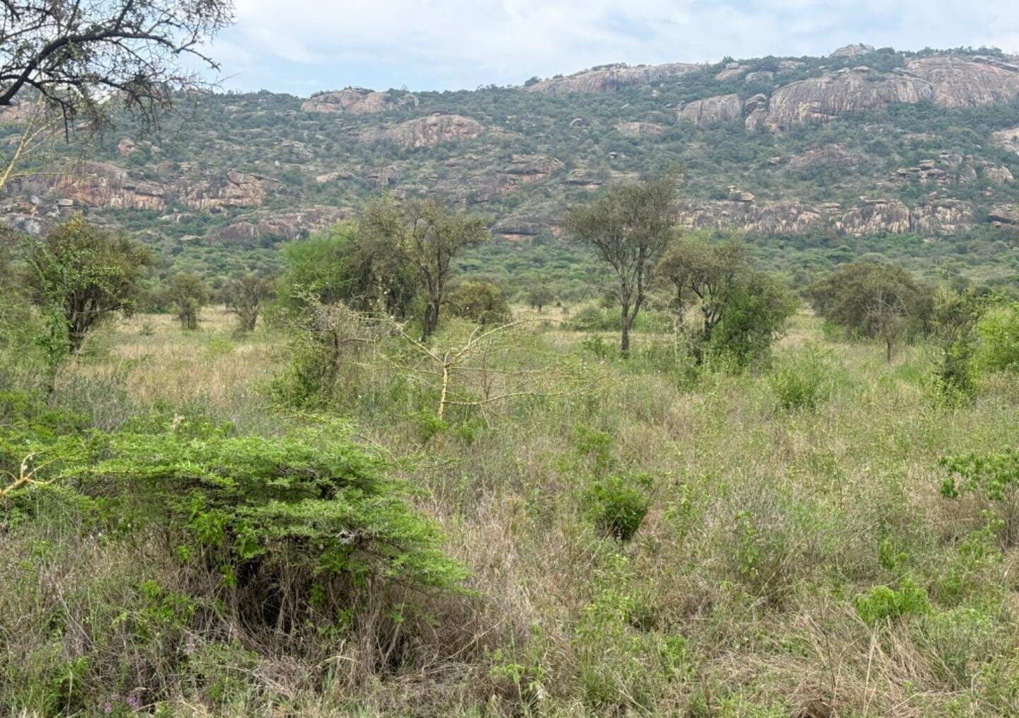 56-Acre Industrial Land at KSh 16M per Acre