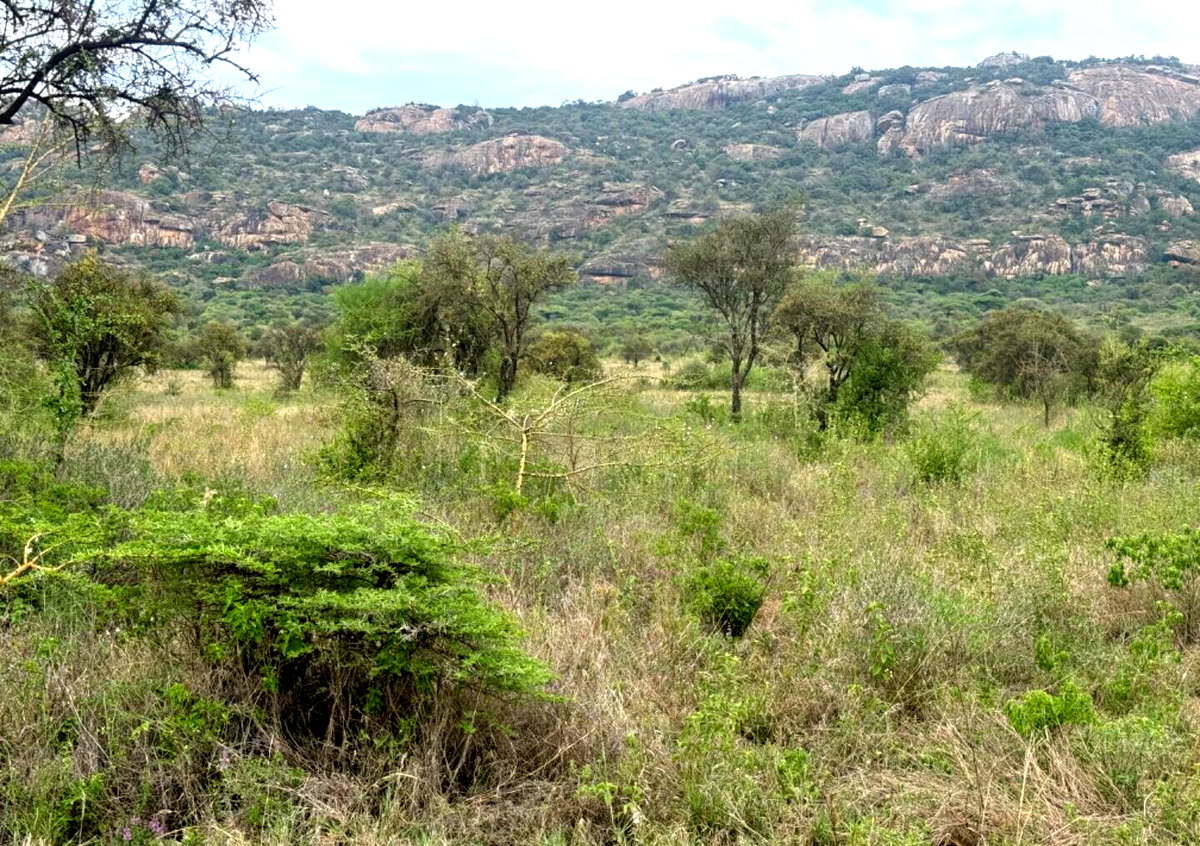 56-Acre Industrial Land at KSh 16M per Acre