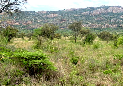 56-Acre Industrial Land at KSh 16M per Acre