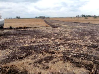 Own a Prime 50x100 Plot in a Gated Estate - Image 8