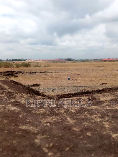 Own a Prime 50x100 Plot in a Gated Estate - Image 3