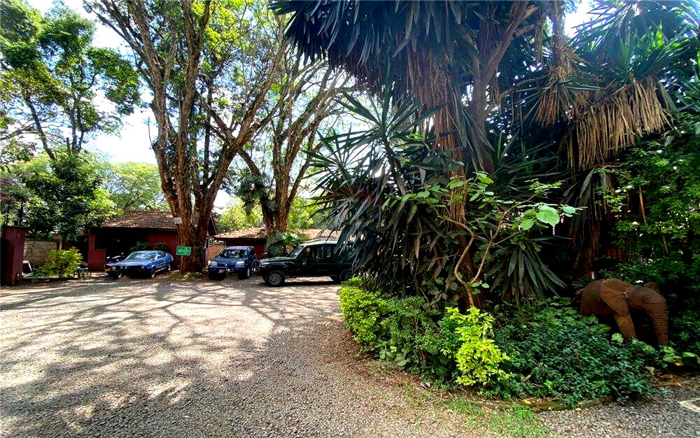 KSh 265M Lavington Office Space
