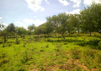 8-Acre Garden Land with Parking - Kajiado