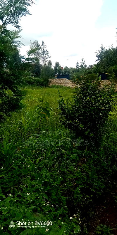 50by100 Ya 300mts From Tarmac - Image 4