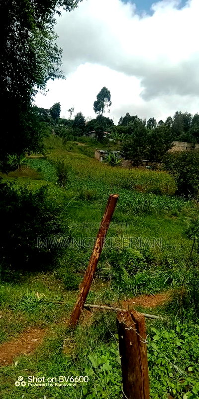 50by100 Ya 300mts From Tarmac - Image 10