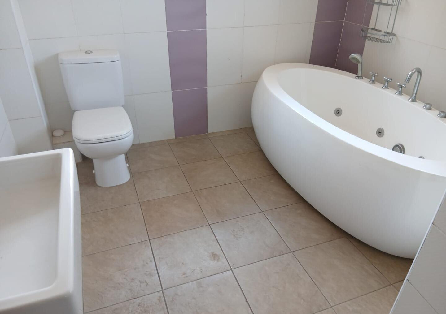 50x100 Plot 4BR Haven at KSh 350K