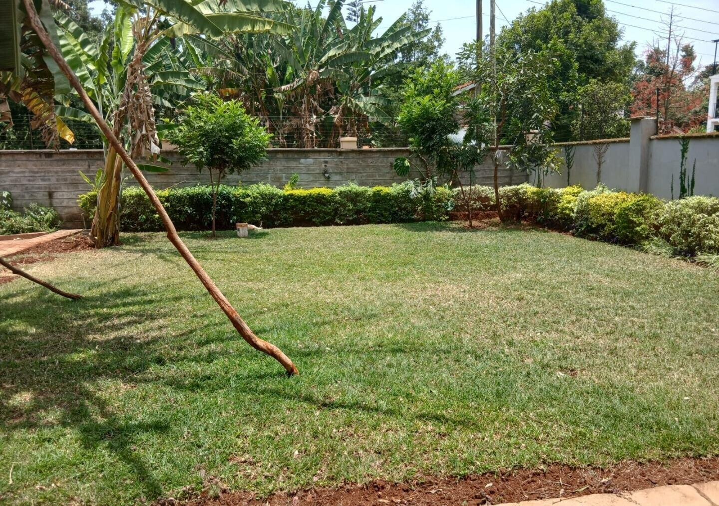 50x100 Plot 4BR Haven at KSh 350K