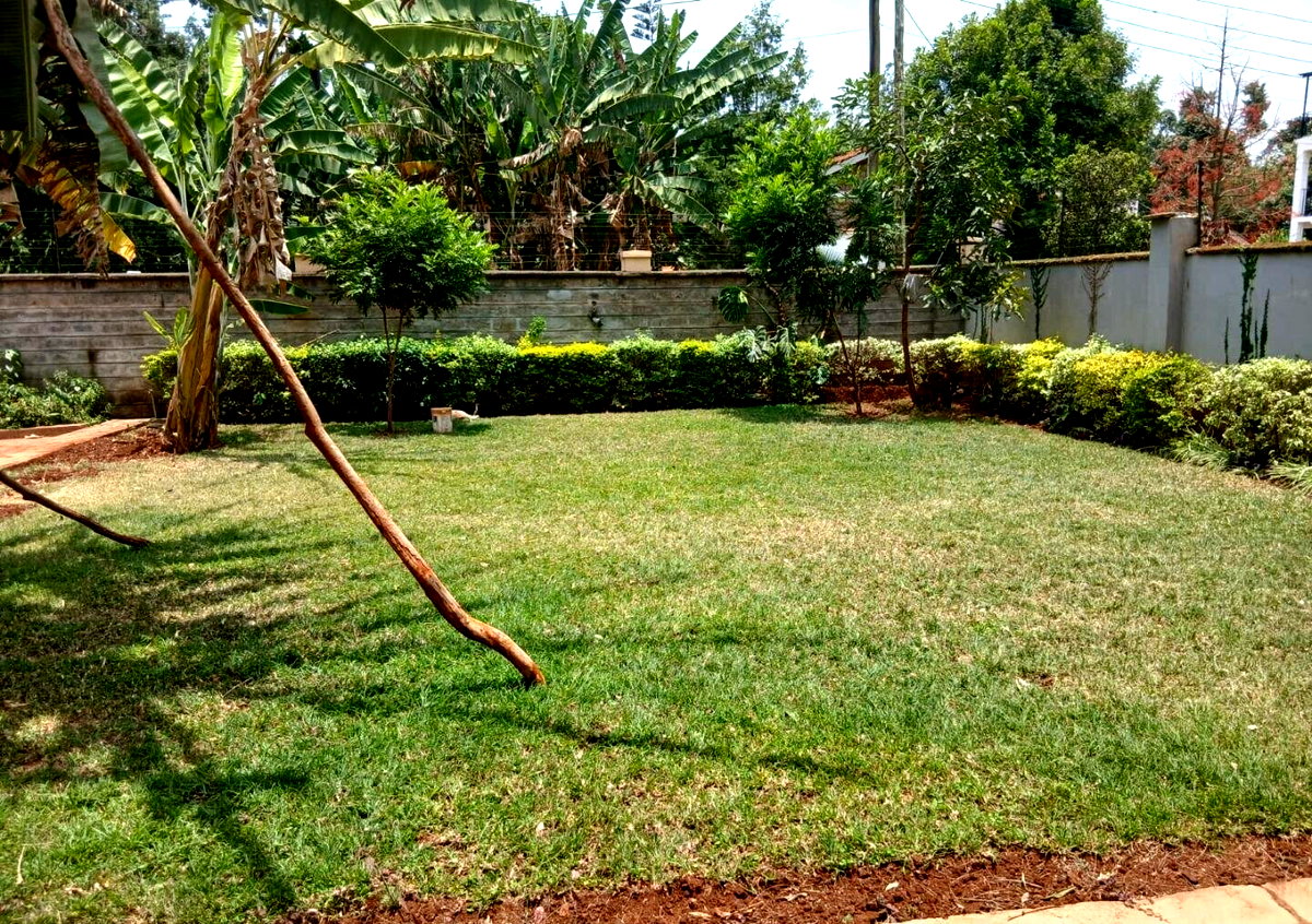 50x100 Plot 4BR Haven at KSh 350K