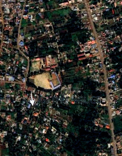 50x100 Plot at Ndumberi - Image 6