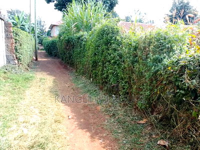 50x100 Plot at Ndumberi - Image 1