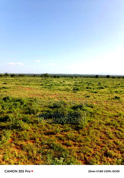 31 Ekali Katika Eneo La Imbirikani - Image 2