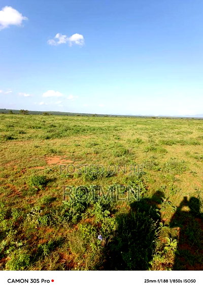 31 Ekali Katika Eneo La Imbirikani - Image 4