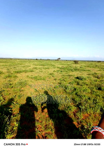 31 Ekali Katika Eneo La Imbirikani - Image 6