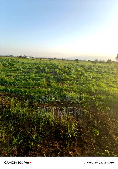 31 Ekali Katika Eneo La Imbirikani - Image 7