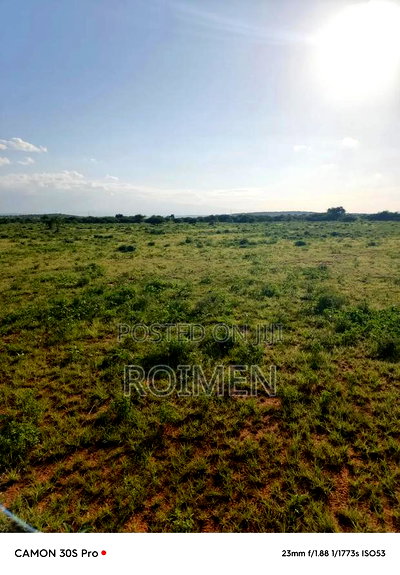 31 Ekali Katika Eneo La Imbirikani - Image 5