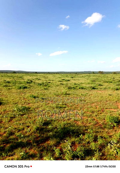 31 Ekali Katika Eneo La Imbirikani - Image 3