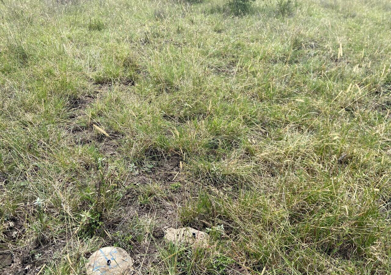 50x100 Plot Under 2.5M