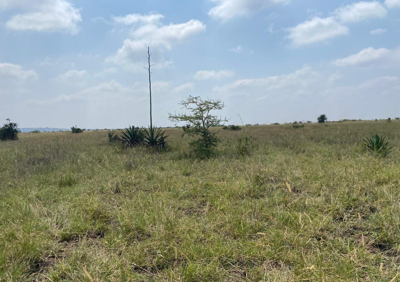 50x100 Plot Under 2.5M