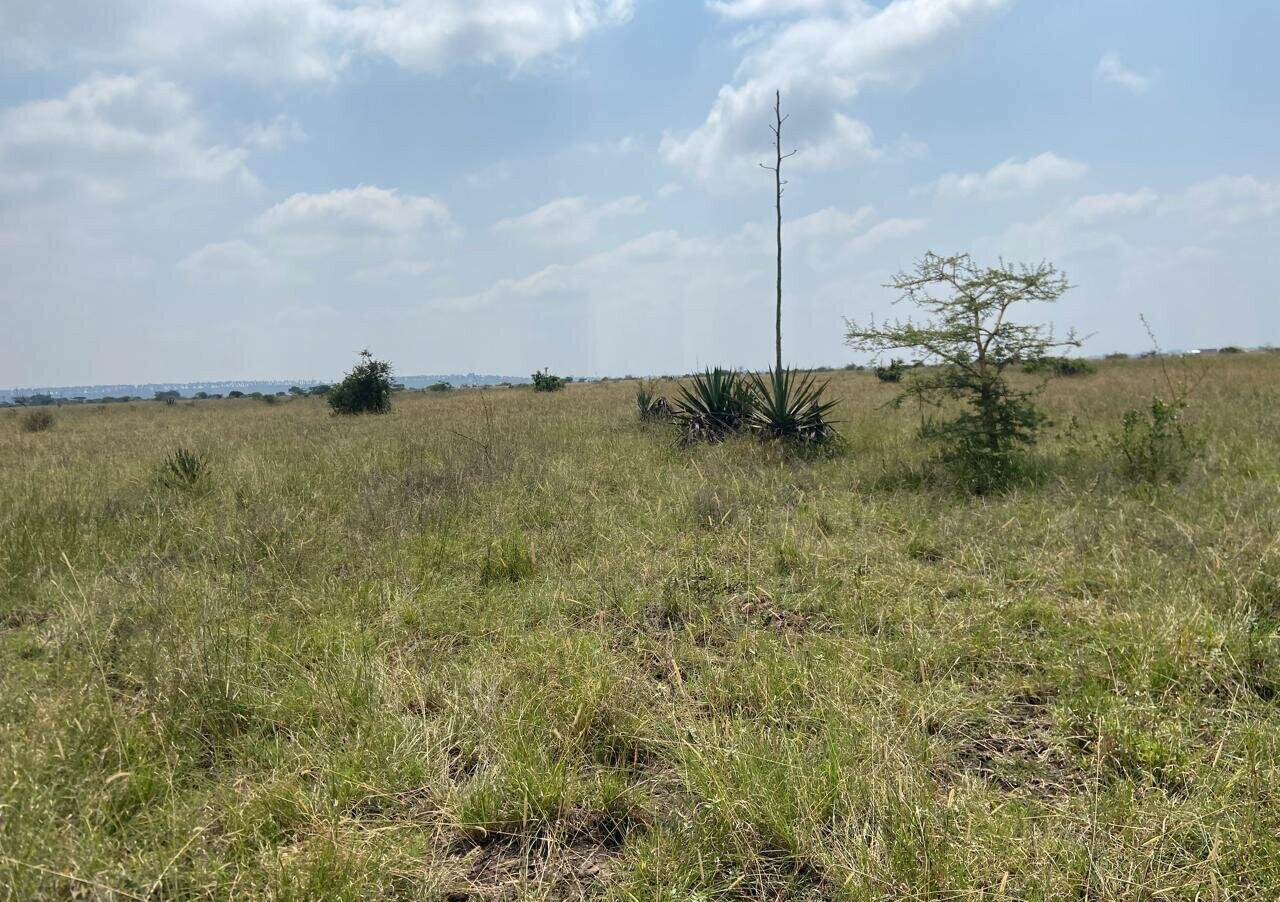 50x100 Plot Under 2.5M