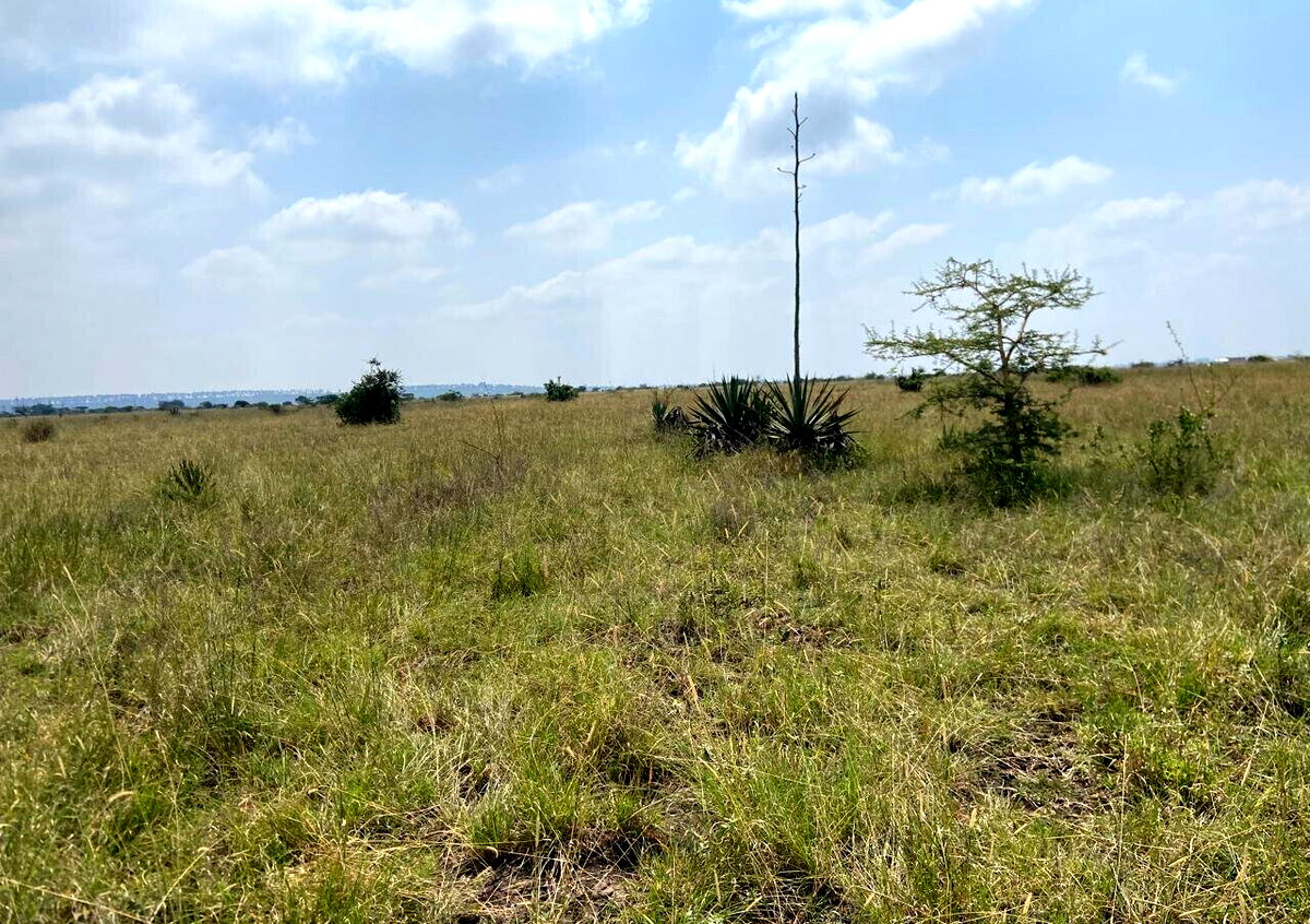 50x100 Plot Under 2.5M