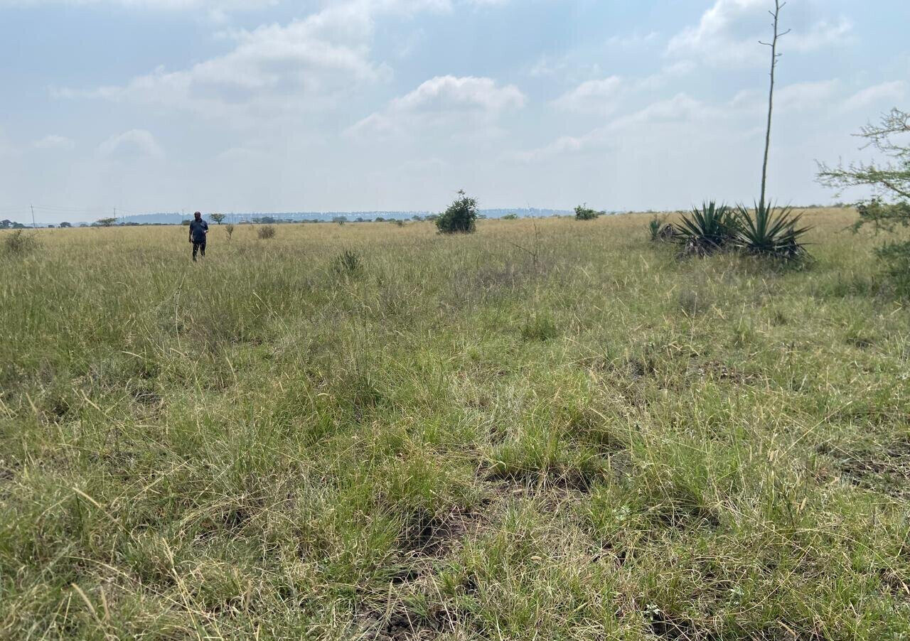 50x100 Plot Under 2.5M