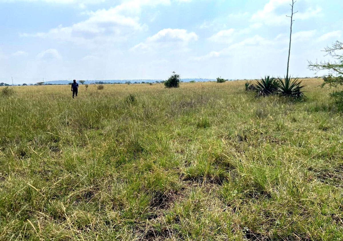 50x100 Plot Under 2.5M