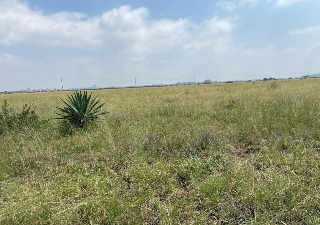 50x100 Plot Under 2.5M