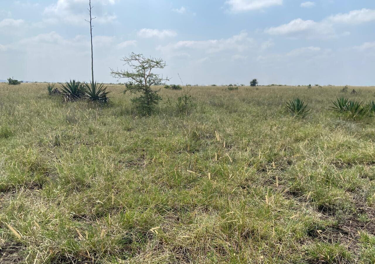 50x100 Plot Under 2.5M