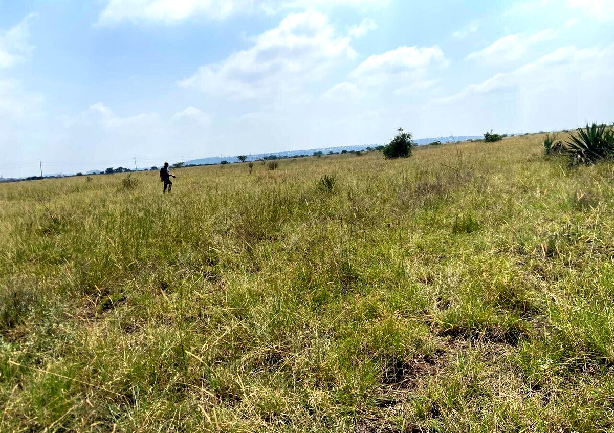 50x100 Plot Under 2.5M