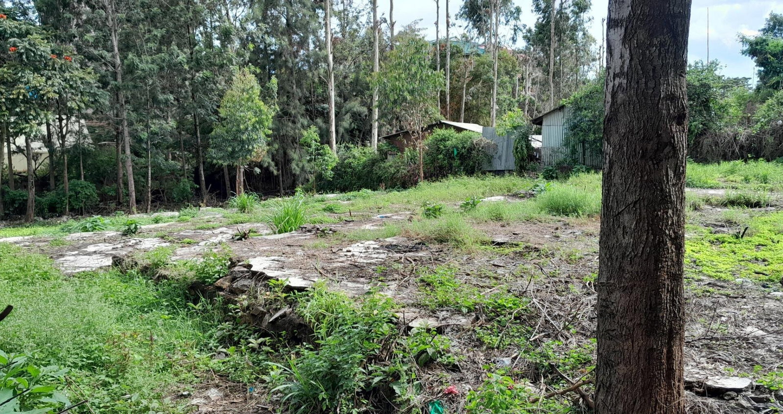Garden Oasis on 1/4 Acre