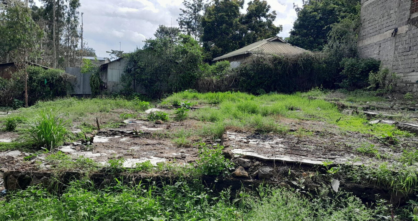 Garden Oasis on 1/4 Acre