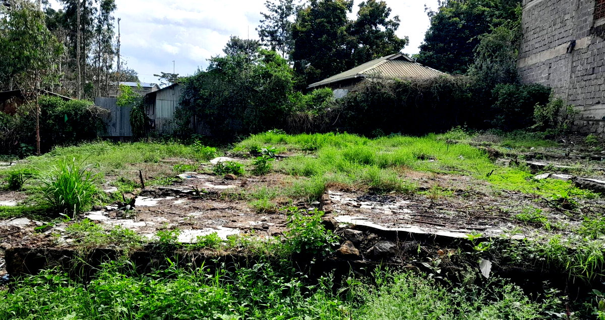 Garden Oasis on 1/4 Acre