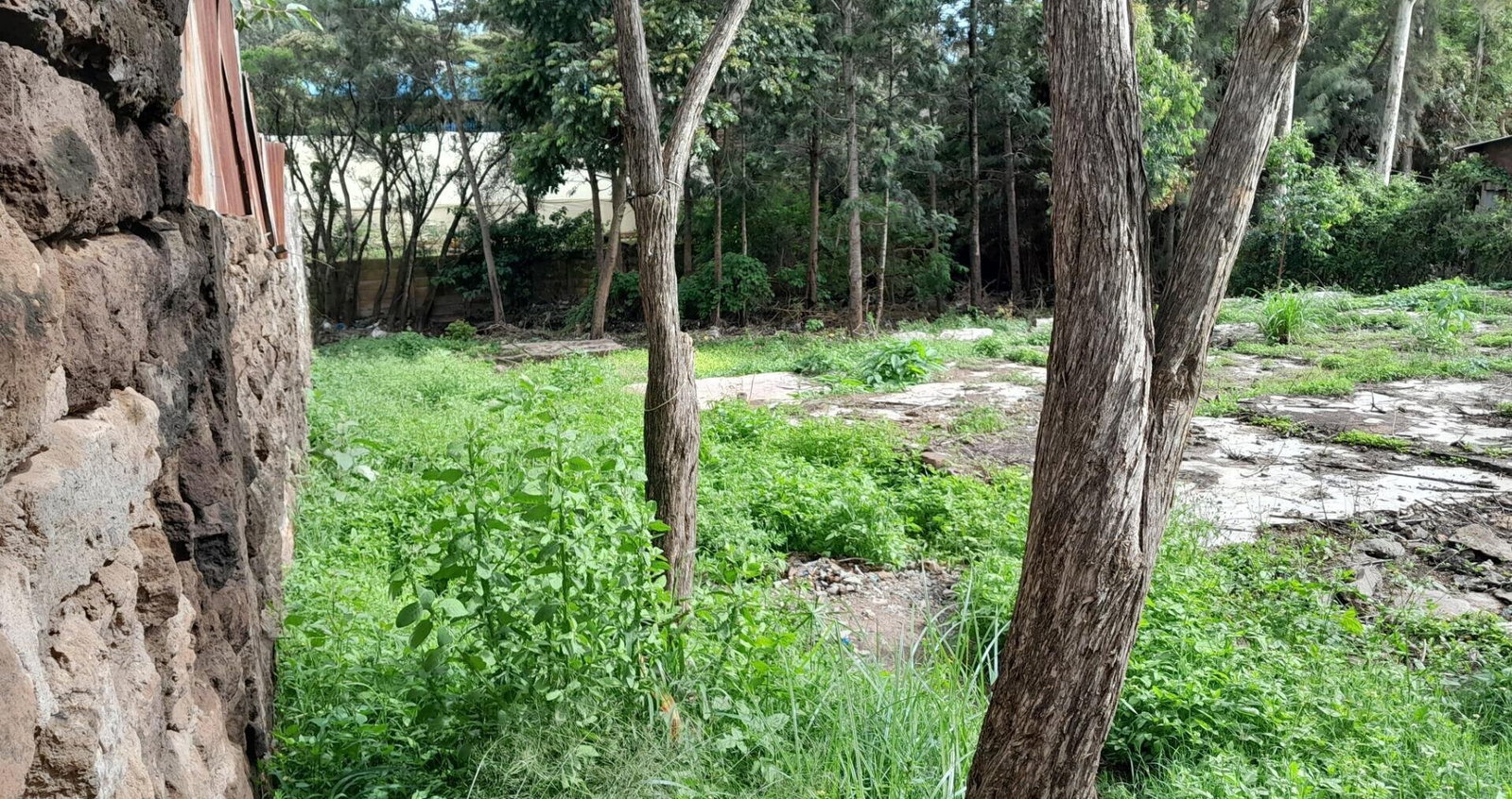 Garden Oasis on 1/4 Acre