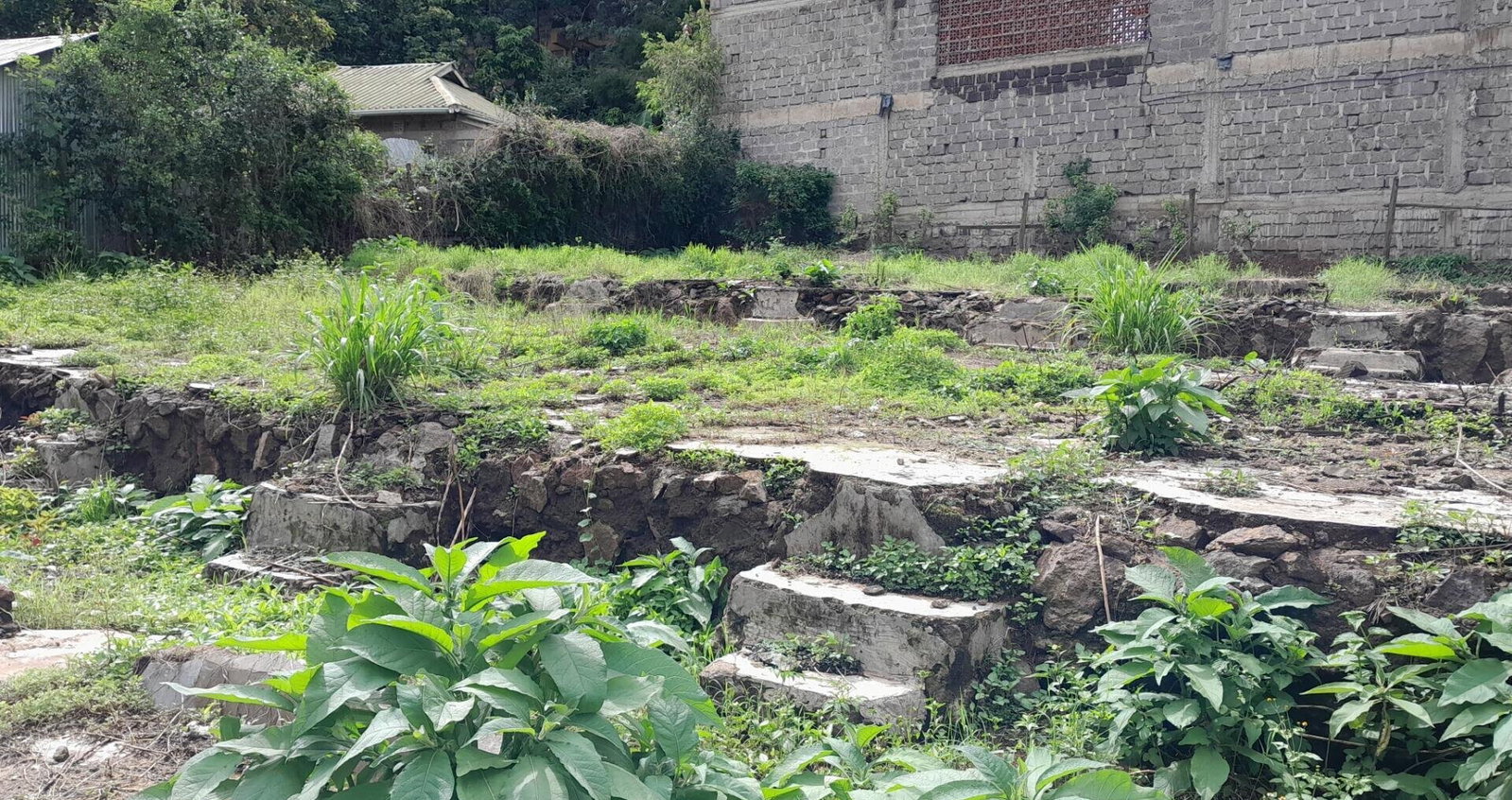 Garden Oasis on 1/4 Acre